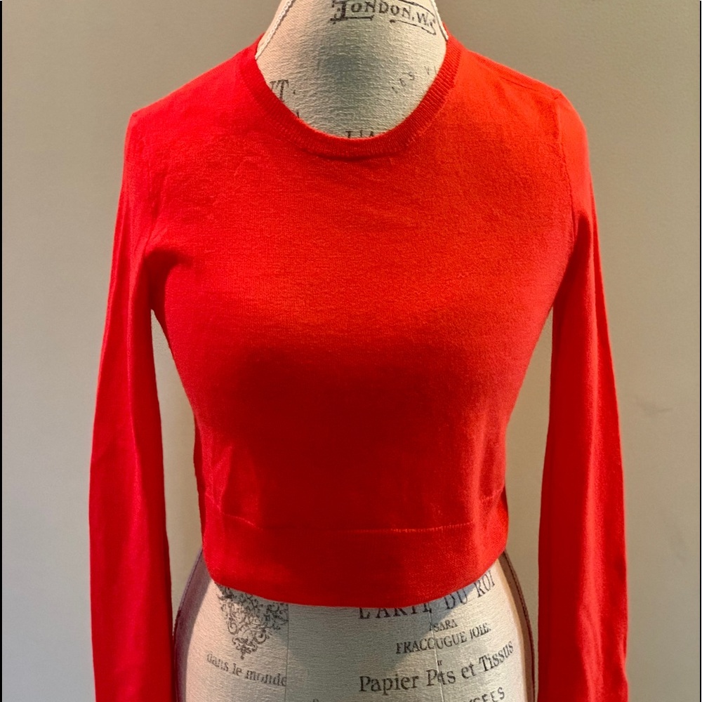 BCBG Light Wool Poppy Orange Long Sleeve Crop Top